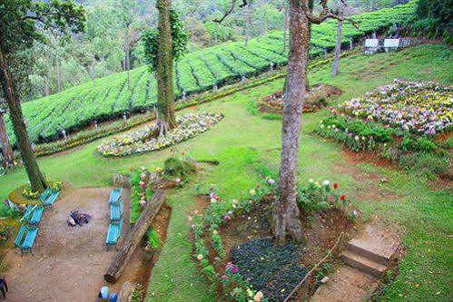 Oak Field Resort Мунар Екстериор снимка